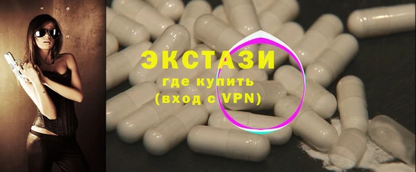 ECSTASY Богданович